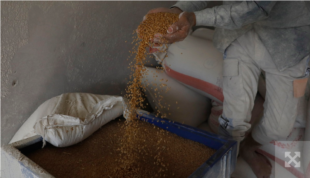 Міністр сільського господарства України: Якщо війна затягнеться, вартість зернових у світі й далі буде зростати