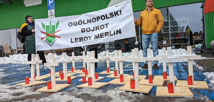 Протести біля магазинів Leroy Merlin та Auchan майже у 60 містах Польщі
