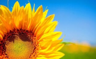 Проста розмова про складні речі. Інтеграційна зустріч для українських біженців у Варшаві