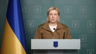 Провела брифінг для іноземних ЗМІ у медіа-центрі "Україна"