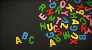 260 осіб з України записалося на курси польської мови у Лодзькому університеті