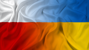 Спеціальний Закон про допомогу громадянам України Спеціальний Закон про допомогу громадянам України