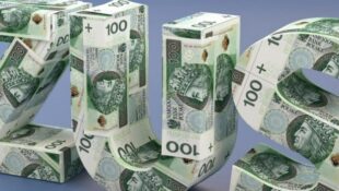 Українці рятують польський ZUS: там є новий рекорд іноземців, які платять внески