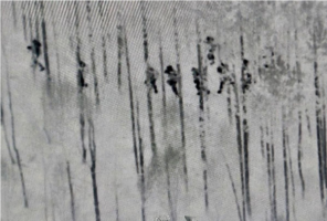 Наступ на польсько-білоруський кордон. Єменці, іранці та китайці закидали прикордонників камінням Наступ на польсько-білоруський кордон. Єменці, іранці та китайці закидали прикордонників камінням