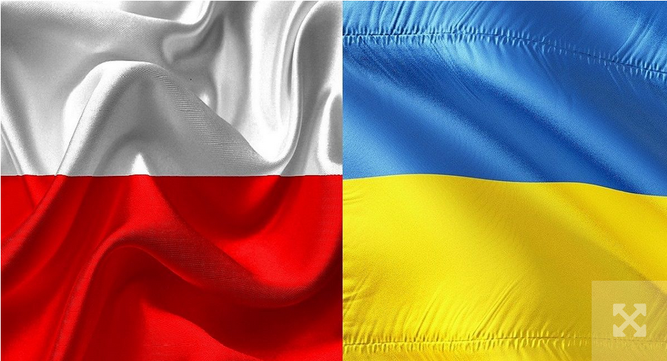 У Познані створили квітковий килим «Подай руку Україні»
