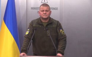 Залужний прокоментував російський теракт у Оленівці