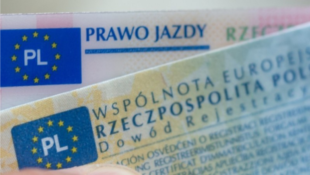 Штрафні бали для водіїв у Польщі: скільки та за що їх нараховуватимуть з вересня 2022 року