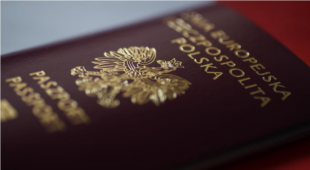 Polish government to introduce a visa ban for Russian citizens: official