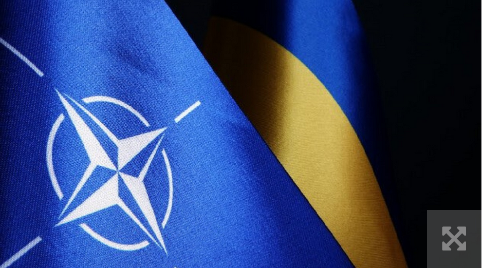 Владимир Зеленский критикует нерешительность НАТО относительно членства Украины