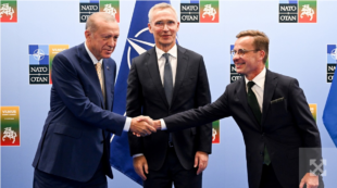Генсек НАТО: Турция согласилась подержать вступление Швеции в Североатлантический альянс