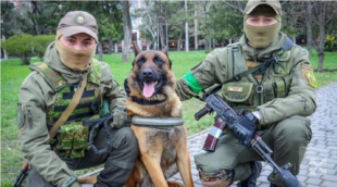 В Польше состоялась передача Украине 9 собак-саперов, которых подготовили в ЕС