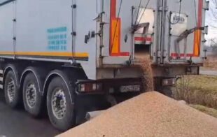 Польские фермеры на границе высыпали зерно из нескольких украинских грузовиков