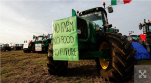 Polska kolejnym krajem z protestami rolników. Komisja Europejska ugina się pod presją