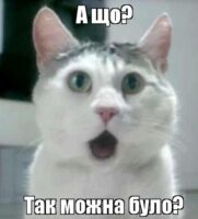 А шо, так можна було? А шо, так можна було?