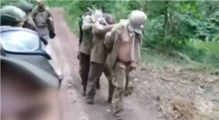 Прокуроры расследуют жестокое обращение с украинскими пленными в Харьковской области