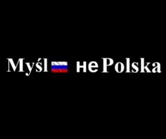Проросійський польський інформаційний портал «Myśl polska»: наративи проти України