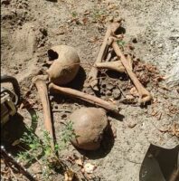 Вчора в місті Тетієві на Київщині в центральному парку комунальниками були викопані людські останки