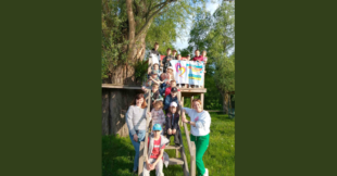 Світло в долонях: як обухівська школа дарує радість дітям наших Захисників