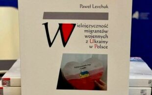 Польща номінує, Європа видає — а МЗС України спотикається на власній мові