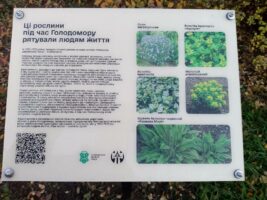 У столиці відкрили фотопроєкт 