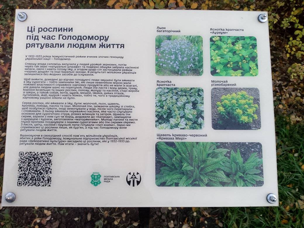 У столиці відкрили фотопроєкт "Київ у роки Голодомору"