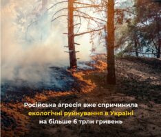 Російська агресія вже спричинила екологічні руйнування в Україні більше 6 трлн гривень