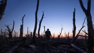 «2000 метрів до Андріївки» потрапив до рейтингу найкращих фільмів року за версією The Guardian