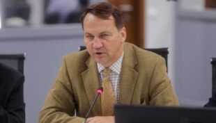 Сікорський обговорив з чеським колегою підтримку України