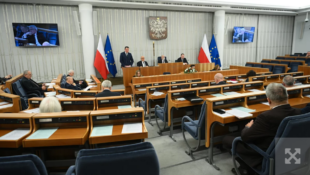 Сенат Польши принял закон о программе SAFE с поправками