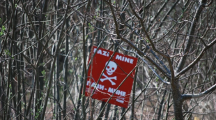 Warschau kündigt Rückkehr zu Antipersonenminen an