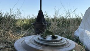 Польща виходить з Оттавської конвенції про заборону протипіхотних мін