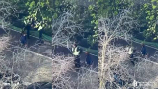 Двом патрульним Києва повідомили про підозру за втечу під час теракту 18 квітня