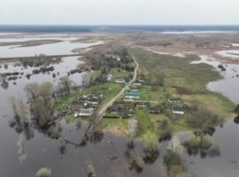 Раннє водопілля на річках Київщини: яка ситуація нині