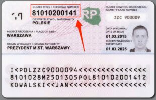 Як отримати PESEL українцю у Польщі: покрокова інструкція, документи, адреси, терміни