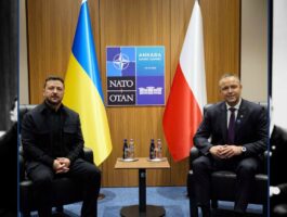 Президенти України та Польщі Володимир Зеленський і Кароль Навроцький провели понад годинну зустріч на полях саміту НАТО в Анкарі