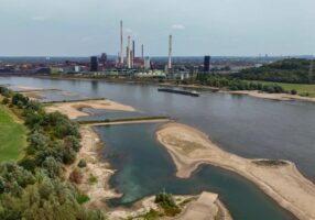 У Київській області пересихають річки: що відбувається