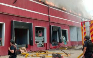 Ударами двох безпілотників росія знищила вісім мільйонів українських книг