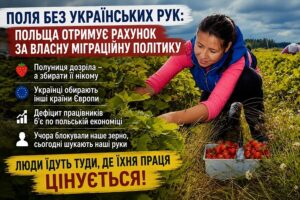 Поля без українських рук: Польща отримує рахунок за свою міграційну політику