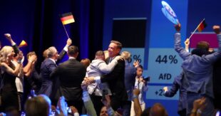 AfD перемогла в Саксонії-Ангальт: чому цей результат важливий для Німеччини та України