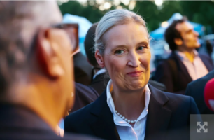 Туск: У Польщі лише ідіоти або зрадники можуть радіти тріумфу AfD у Німеччині