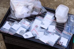 У Львові пошуковці підсумували ексгумаційні роботи на Голосківському цвинтарі